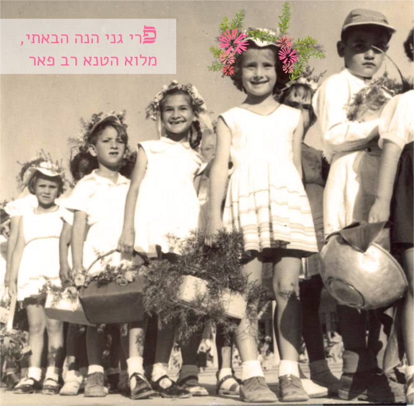 PikiWiki_Israel_1187_Jewish_holidays_תהלוכת_ביכורים